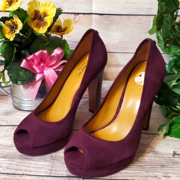 Coach Suede Breana Plum Heel - Picture 2 of 12
